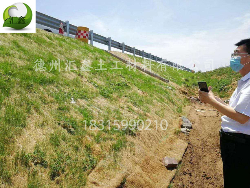 贛州尋烏縣公路邊坡植物纖維毯防護工程