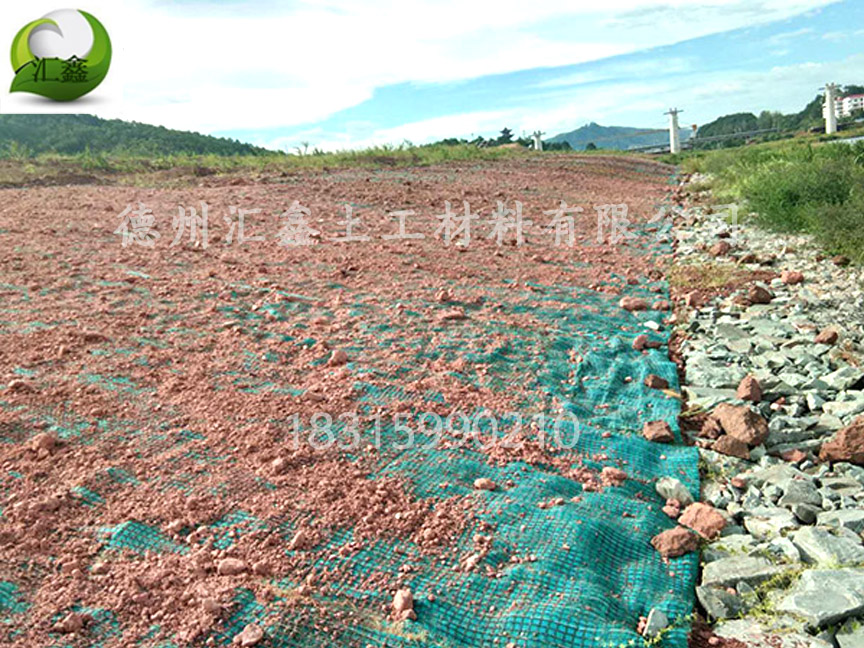 天津南站河道邊坡綠化用抗沖生物毯