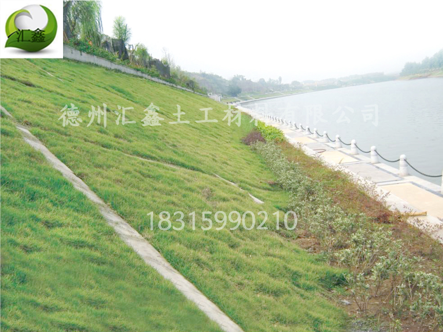 浙江溫州小型河道湖泊治理用生態草毯