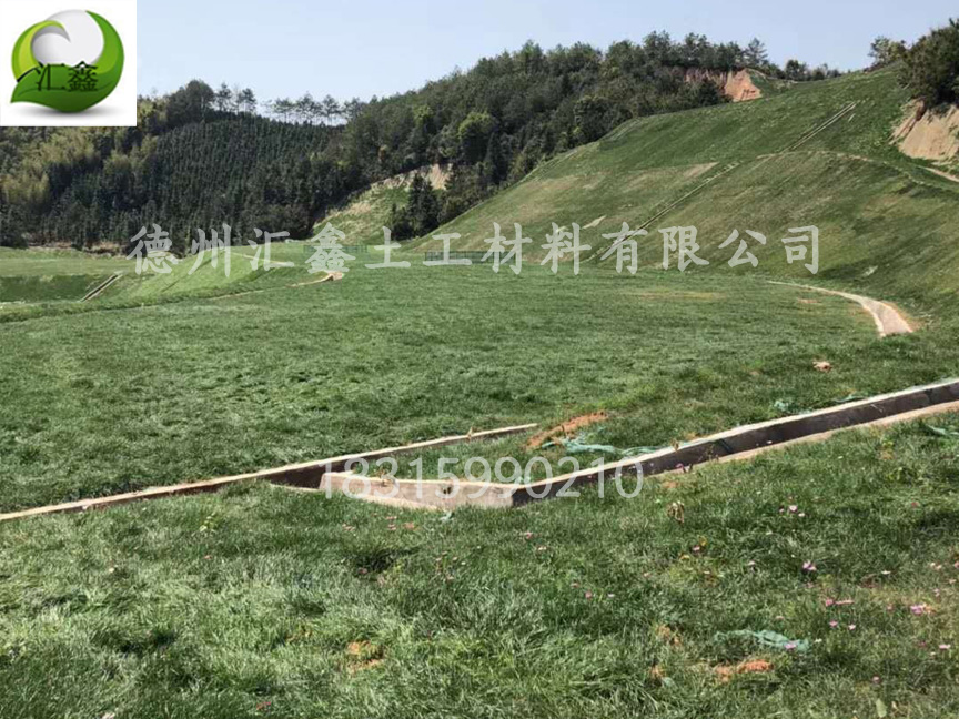 中鐵七局西藏公司國道214項(xiàng)目護(hù)坡椰絲生態(tài)毯