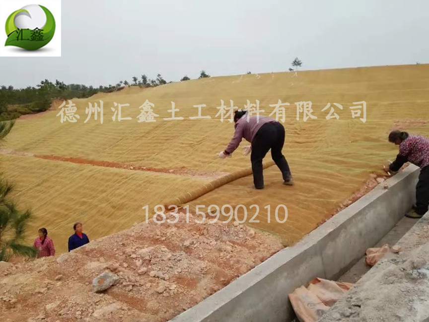 陜西渭南礦山復綠工程用植被毯
