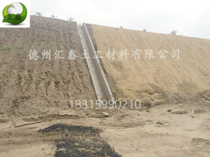 草毯可以降解嗎