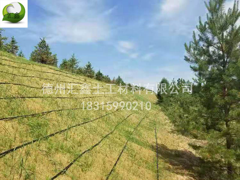 生態(tài)草毯在護(hù)坡中的作用(圖2)
