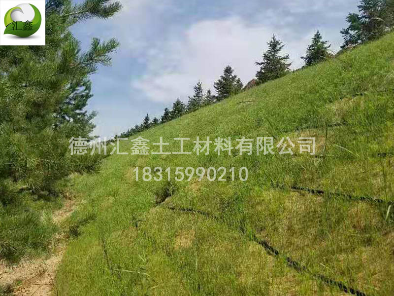 生態(tài)草毯在護(hù)坡中的作用(圖3)