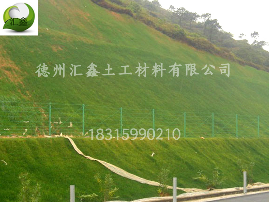 植物纖維毯——高速公路護(hù)坡綠化