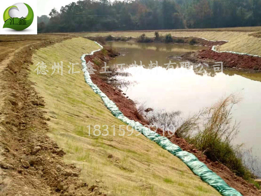 植物纖維毯——河道邊坡用護坡綠化毯