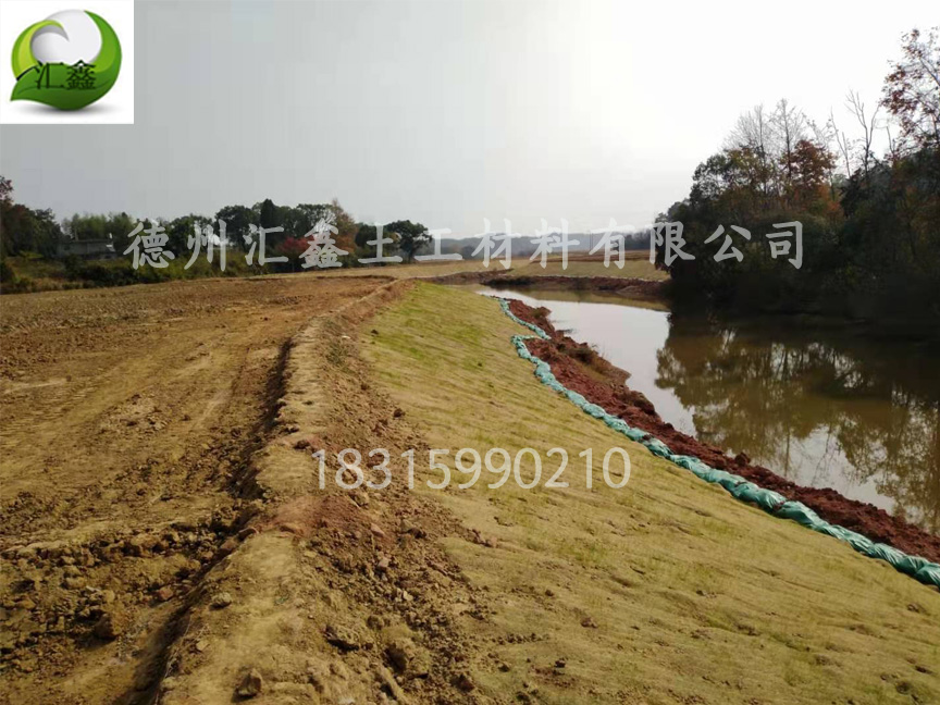 椰絲毯——河道護坡綠化材料