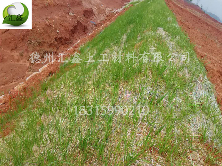 生態(tài)草毯是怎樣護坡綠化的？