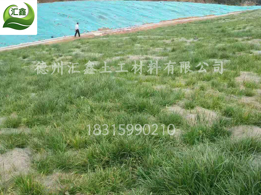 植物纖維毯