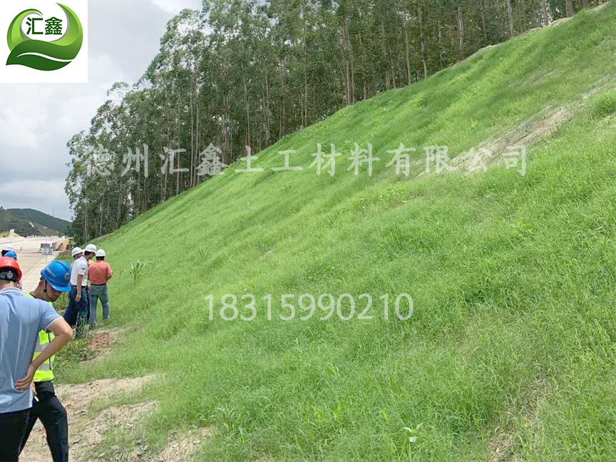 椰絲綠化草毯