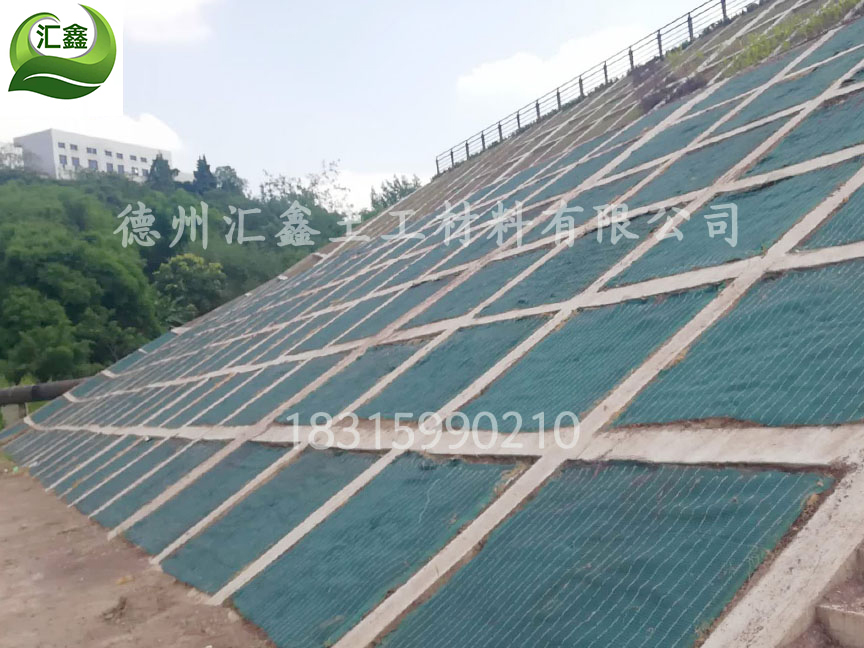 抗沖型綠化草毯