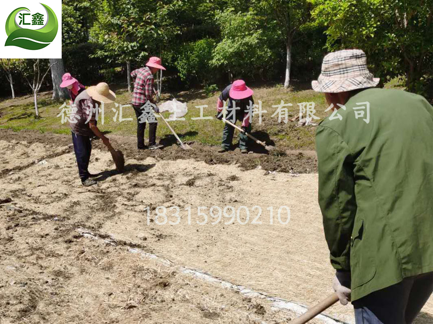 椰絲秸稈混合植生毯