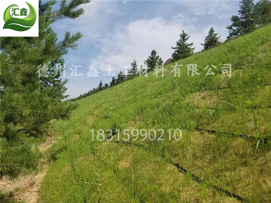 椰絲纖維植生毯
