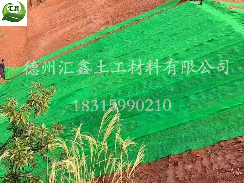 三維植被網(wǎng)