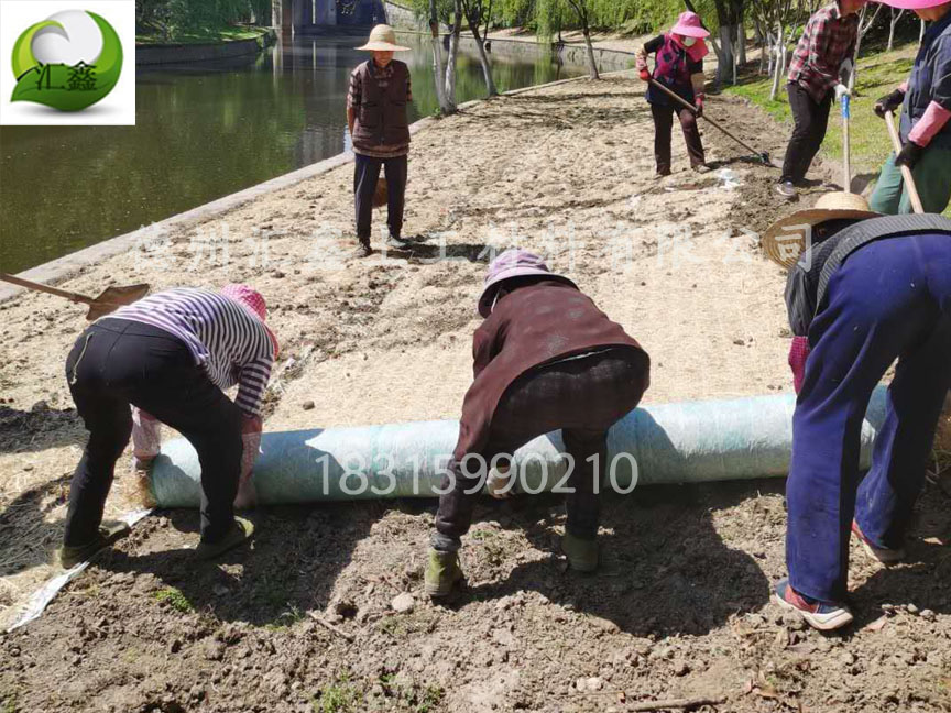唐山公園人工湖邊坡護(hù)坡工程用草毯(圖2)