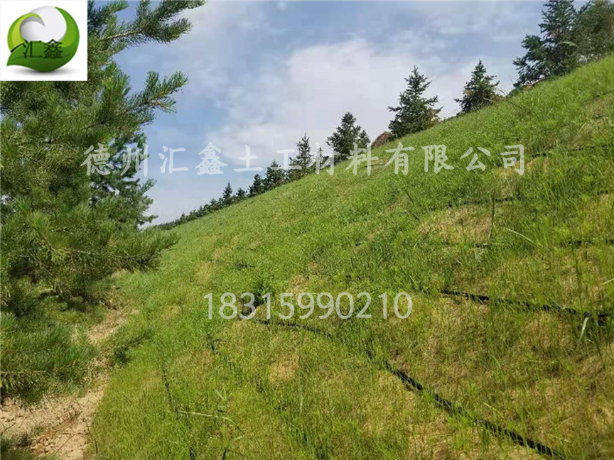 中鐵七局西藏公司國(guó)道214項(xiàng)目護(hù)坡椰絲生態(tài)毯(圖1)