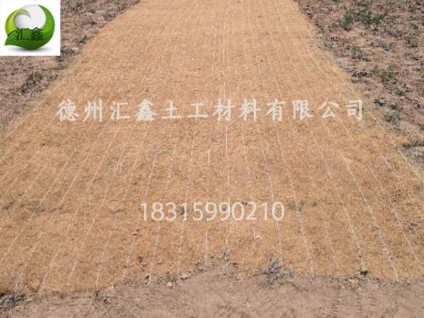 中鐵七局西藏公司國(guó)道214項(xiàng)目護(hù)坡椰絲生態(tài)毯(圖2)