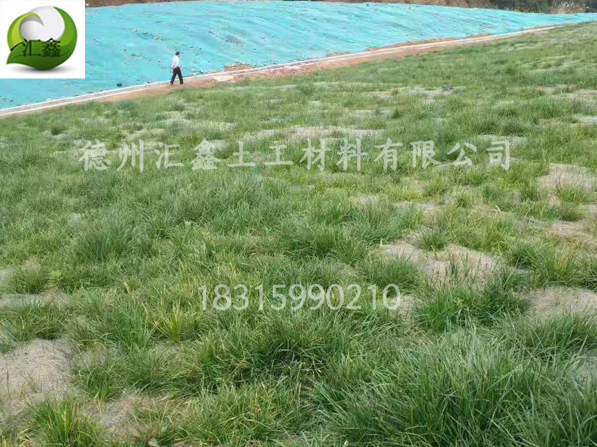 陜西渭南礦山復綠工程用植被毯(圖1)