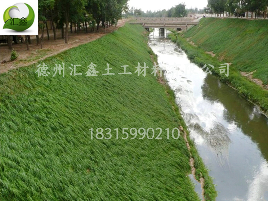 瀟河綜合治理用植生毯護坡(圖2)