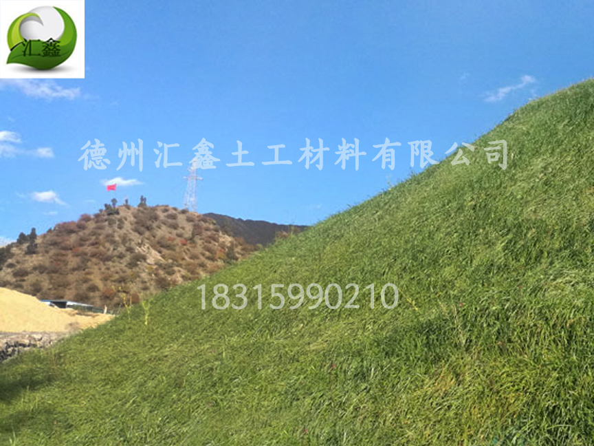 生態草毯的價格(圖2)