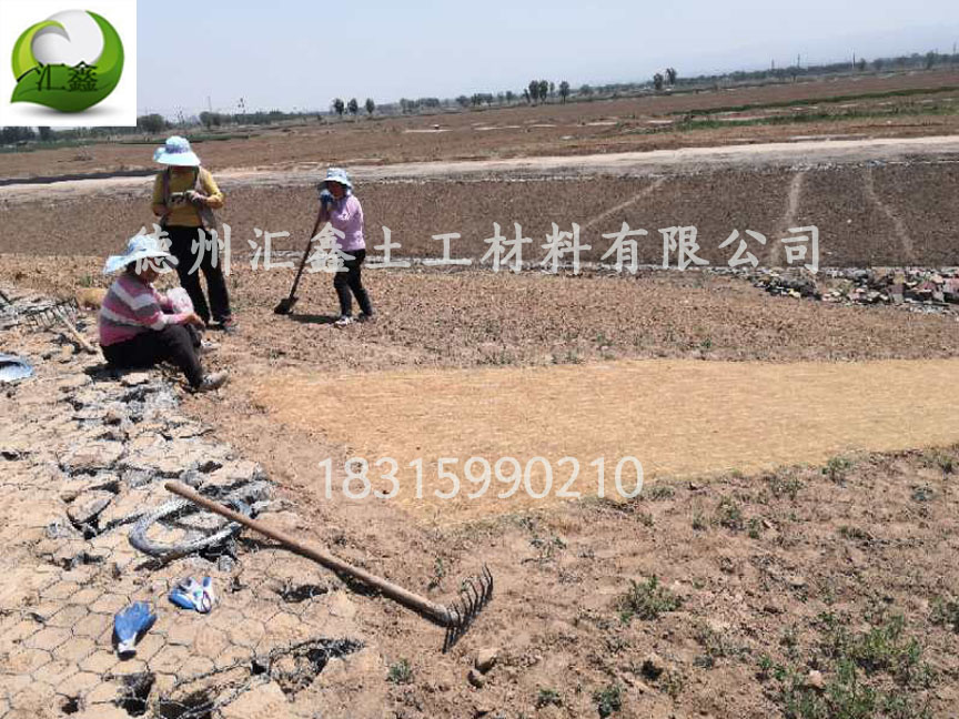 河道護坡綠化護坡植草毯(圖3)