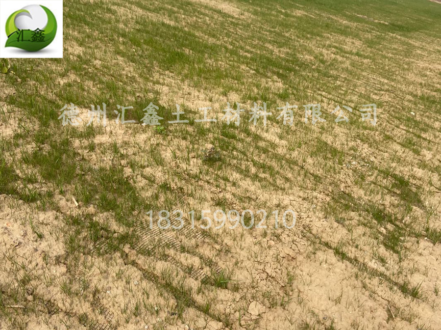 礦山復墾用椰絲毯(圖3) 礦山復墾用椰絲毯(圖3)