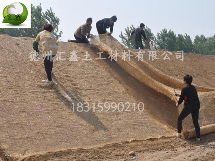 植物纖維毯可以應用在哪些領域？(圖2)