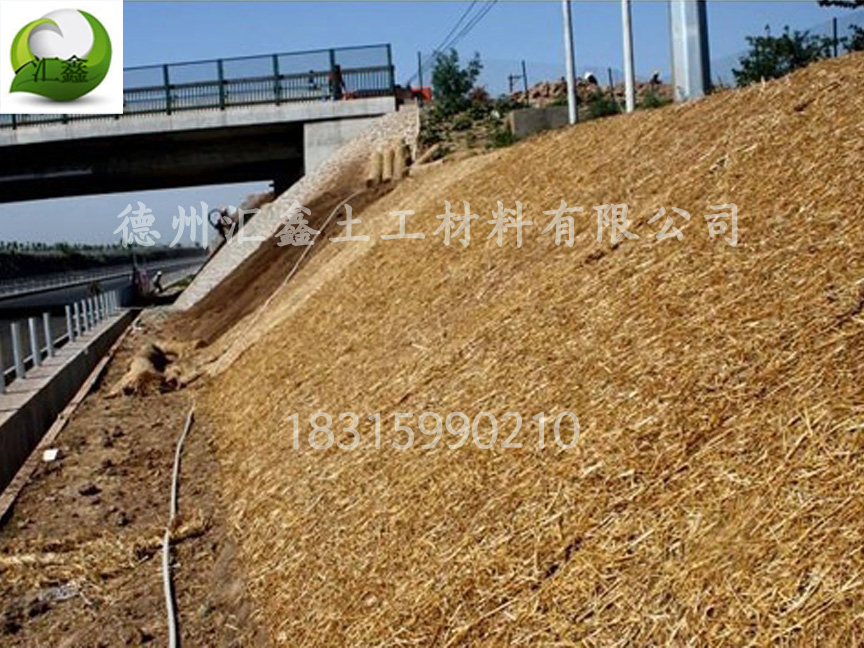 植生毯應(yīng)用在哪些地方？(圖1)