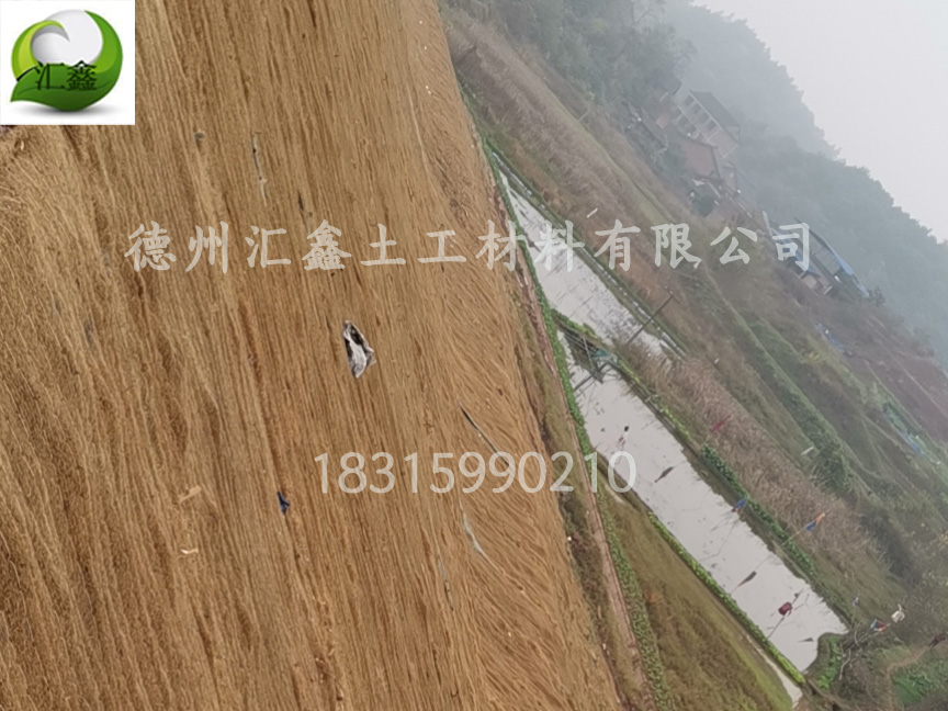 護坡植草毯有什么特點？(圖3)
