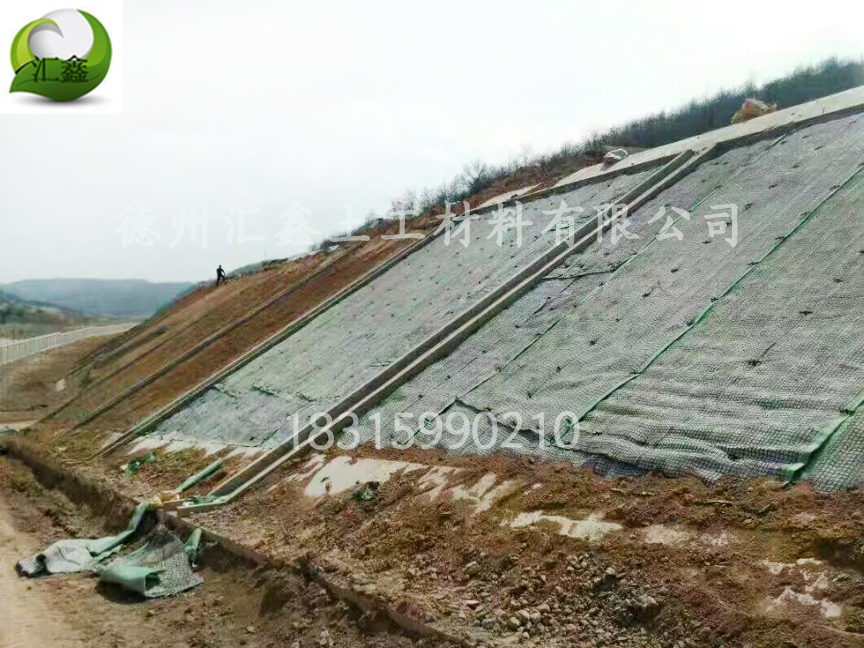 護(hù)坡植草毯有什么作用？(圖1)