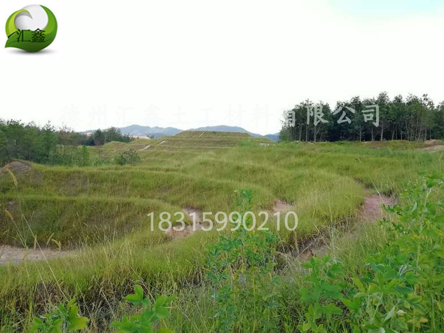 植物纖維毯——河道邊坡用護坡綠化毯(圖2) 植物纖維毯——河道邊坡用護坡綠化毯(圖2)