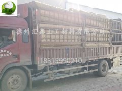 廣東肇慶孫總采購植物纖維毯188000m2