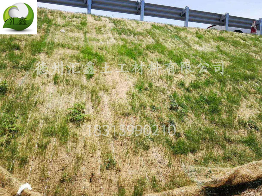 植物纖維毯是怎樣護坡綠化的?(圖2) 植物纖維毯是怎樣護坡綠化的?(圖2)