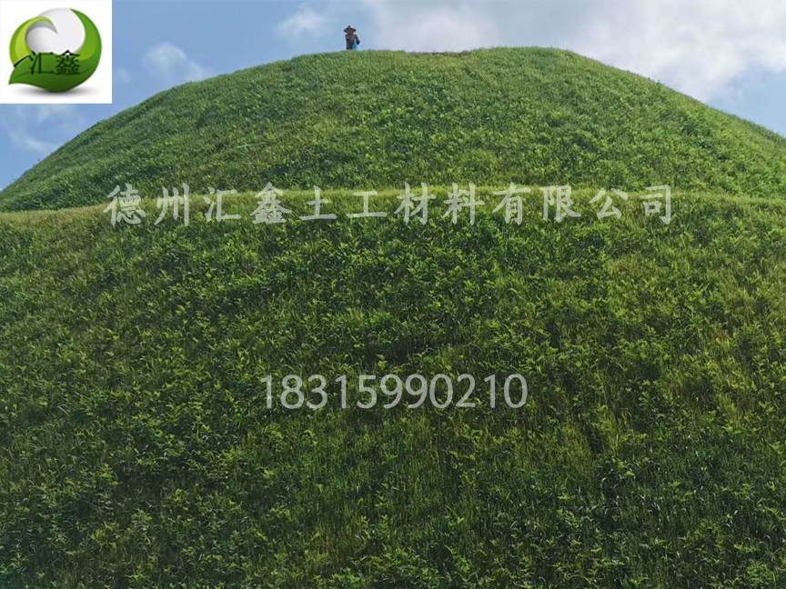 護坡植草毯的廠家是怎樣的?(圖3) 護坡植草毯的廠家是怎樣的?(圖3)