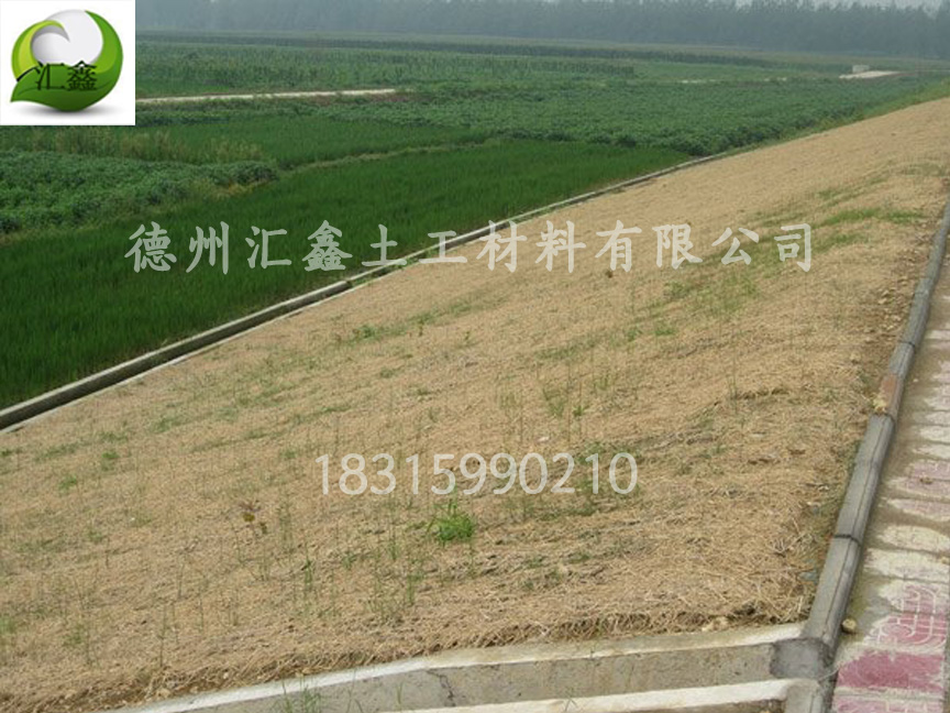 植物纖維毯怎樣綠化護坡？