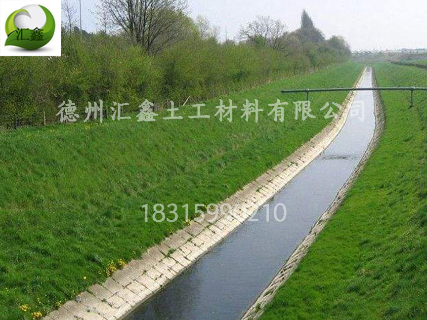新型護(hù)坡產(chǎn)品——生態(tài)草毯
