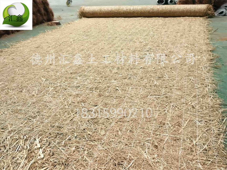 植被毯的優勢有哪些?(圖2) 植被毯的優勢有哪些?(圖2)