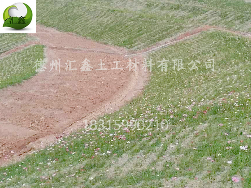 生態草毯應該如何使用？