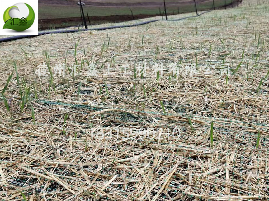 護坡植草毯的簡介(圖1) 護坡植草毯的簡介(圖1)