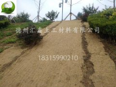 護(hù)坡植草毯綠化效果如何？