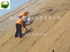 質(zhì)優(yōu)價廉的椰絲毯