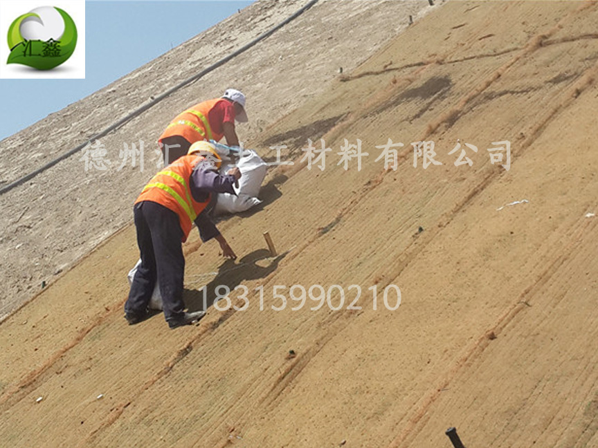 質優價廉的椰絲毯(圖1) 質優價廉的椰絲毯(圖1)