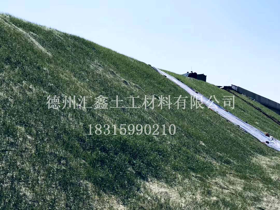 生態(tài)草毯售后完善(圖1)