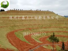 護坡植草毯的特點