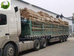 福建侯總訂購(gòu)了560000平方米裝車(chē)中