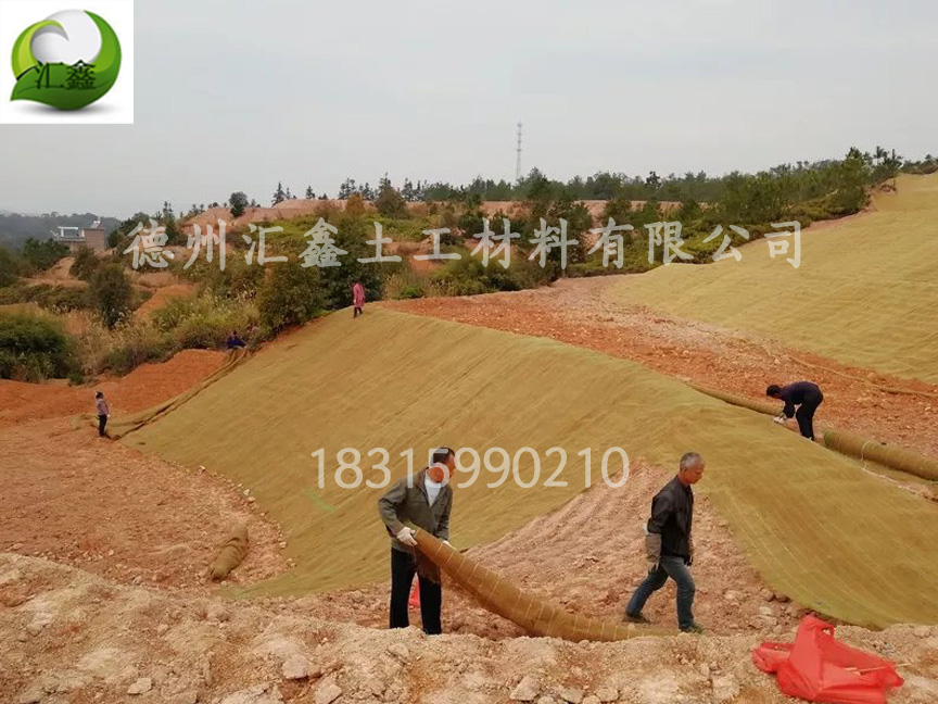 植被毯的相關知識(圖1) 植被毯的相關知識(圖1)