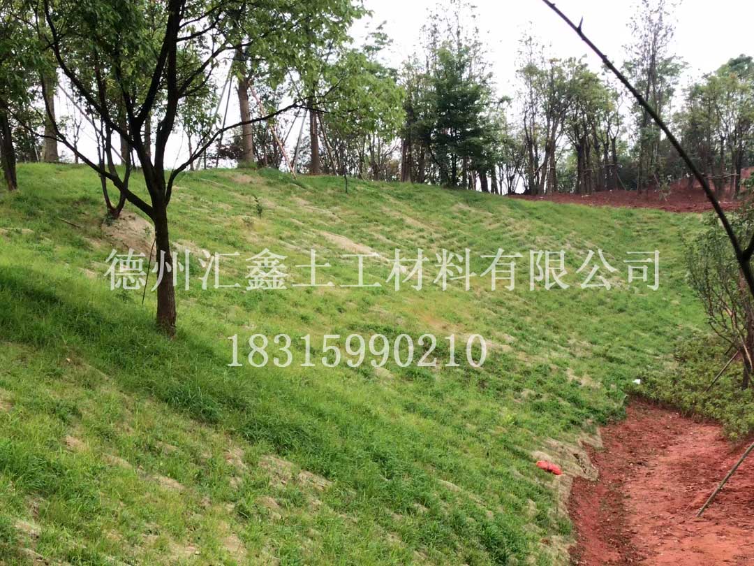 植物纖維毯的應用(圖1) 植物纖維毯的應用(圖1)